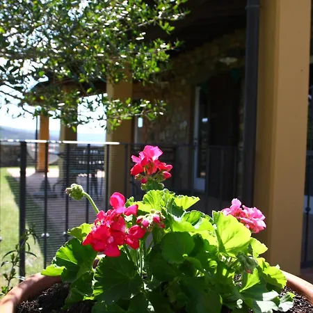 Chalet Privato Con Uso Piscina